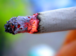 Smoking increases the risk of an MI